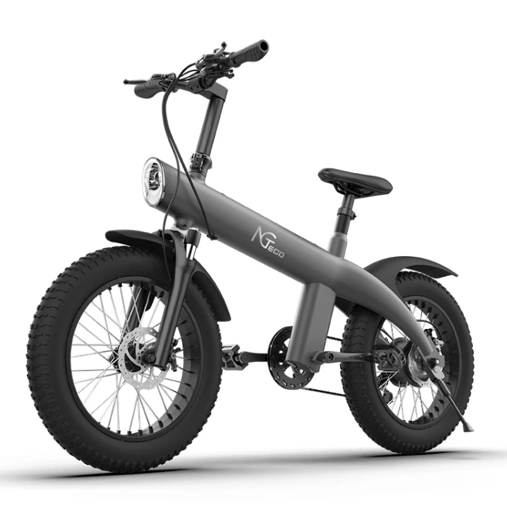 NGTeco Q1 Electric Bicycle Fat Tyre Bike 750W 20-inch