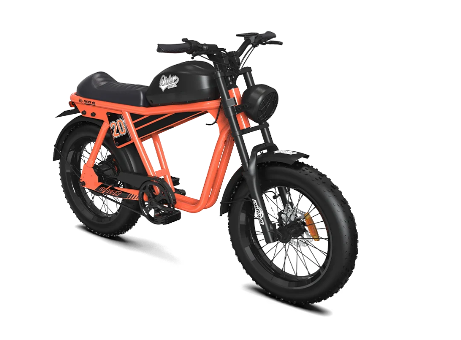 QIOLOR Tiger RL E-Bike